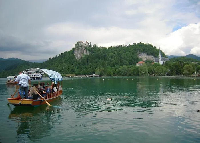 Marvellous Face ブレッド